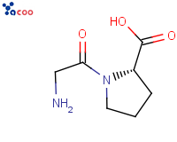 甘油-L-脯氨酸
