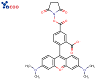 5-羧基四甲基罗丹明琥珀酰亚胺酯
