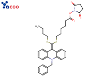 (2,5-Dioxopyrrolidin-1-yl) 6-[(10-benzylacridin-9-ylidene)-butylsulfanylmethyl]sulfanylhexanoate<br/>
