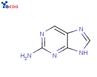 2-AMINOPURINE
