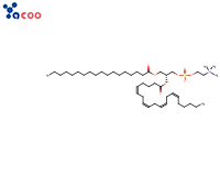 2-ARACHIDONOYL-1-STEAROYL-SN-GLYCERO-3-PHOSPHOCHOLINE
