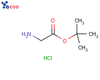 Glycine tert butyl ester hydrochloride
