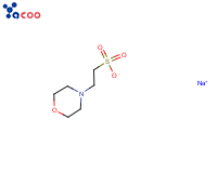 2-吗啉乙磺酸钠(MES-Na)
