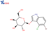 5-溴-4-氯-3-吲哚半乳糖苷（X-GAL）
