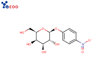 p-Nitrophenyl-β-D-Galactopyranoside
