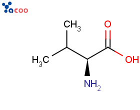 L-缬氨酸   