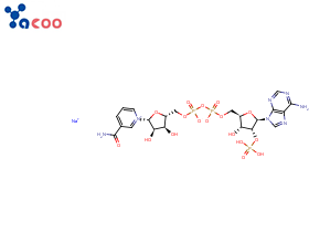 β-烟酰胺腺嘌呤二核苷酸磷酸钠盐（NADP-Na）