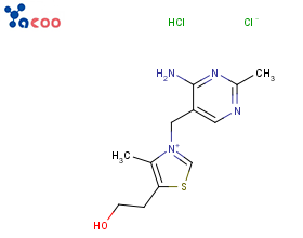 盐酸硫胺