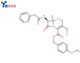 7-苯乙酰氨基-3-氯甲基-4-头孢烷酸对甲氧基苄酯（GCLE）
