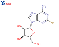 Fludarabine
