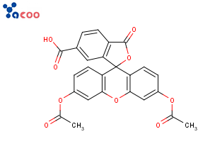 6-羧基二-O-乙酰荧光素
