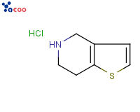 4,5,6,7-Tetrahydrothieno[3,2-c]pyridine Hydrochloride
