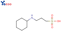 3-环己氨基丙磺酸（CAPS）
