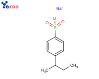 Poly(sodium-p-styrenesulfonate)
