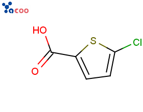 5-氯噻吩-2-甲酸

