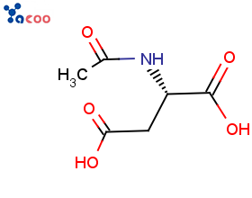 N-乙酰-L-天门冬氨酸