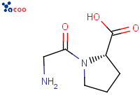 GLYCYL-L-PROLINE
