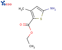 2-羧酸乙酯-3-甲基-6-氨基噻吩
