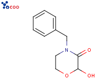 4-苄基-2-羟基-吗啉-3-酮
