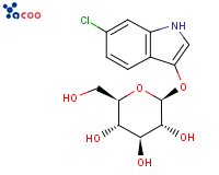 6-氯-3-吲哚基-D-吡喃半乳糖苷
