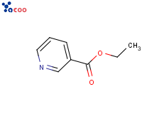 烟酸乙酯
