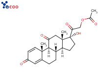 醋酸泼尼松

