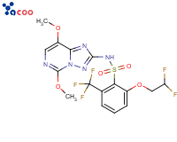 PENOXSULAM
