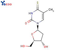 (5-methyl)dithiouracil
