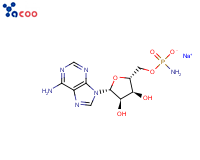 ADENOSINE 5'-MONOPHOSPHORAMIDATE SODIUM SALT

