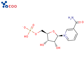 β-烟酰胺单核苷酸
