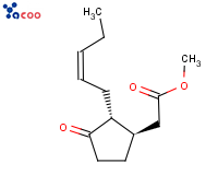 茉莉酸甲酯 
