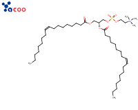 1,2-二油酰基-SN-甘油-3-磷酸胆碱（DOPC）
