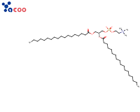 1,2-二硬脂酰-SN-甘油-3-磷酸胆碱 （DSPC）
