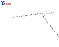 L-ALPHA-PHOSPHATIDYLCHOLINE, DISTEAROYL
