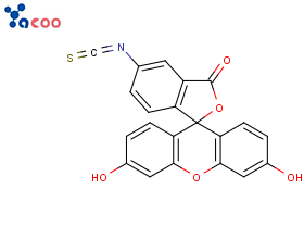 异硫氰酸荧光素(FITC)