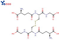 谷胱甘肽（氧化型）
