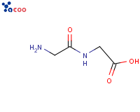 Glycyl glycine
