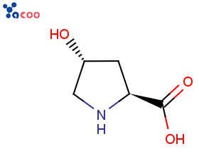 L-羟脯氨酸