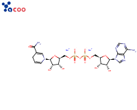 Beta-Nicotinamide adenine dinucleotide disodium salt
