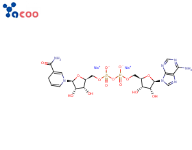 Beta-烟酰胺腺嘌呤二核苷二钠（β-NADH）