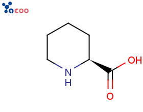 L-高脯氨酸