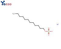 十二烷基硫酸钠(SDS) 
