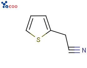 2-噻吩乙腈