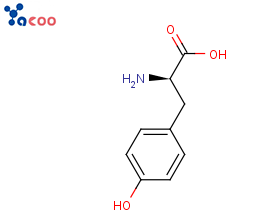 D-酪氨酸