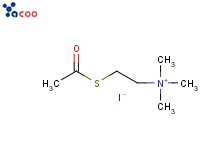 Acetylthiocholine iodide
