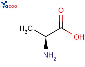 L-丙氨酸