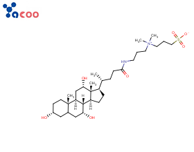 3-[3-(胆酰胺丙基)二甲氨基]丙磺酸内盐 