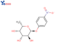 对硝基苯-α-L-岩藻吡喃糖苷
