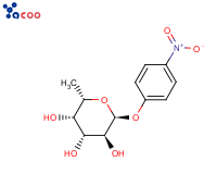 p-Nitrophenyl -a-L-Fucopyranoside
