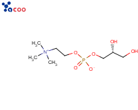 L-Alpha-Glycerophosphorylcholine
